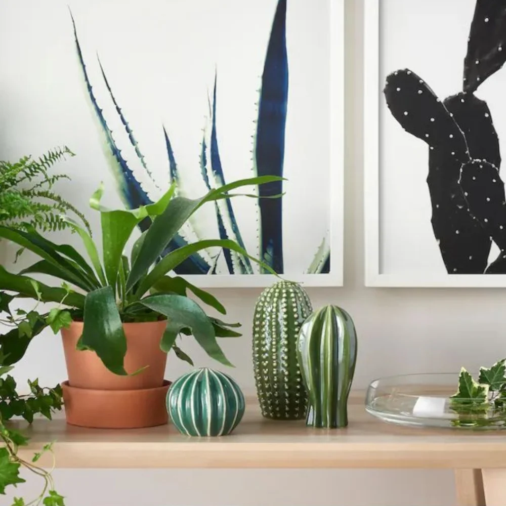 IKEA Green Ceramic Decorative Cactus Trio - Picture 9 of 10